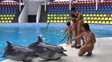 [OnnDL] Dolphin Day Delights 1