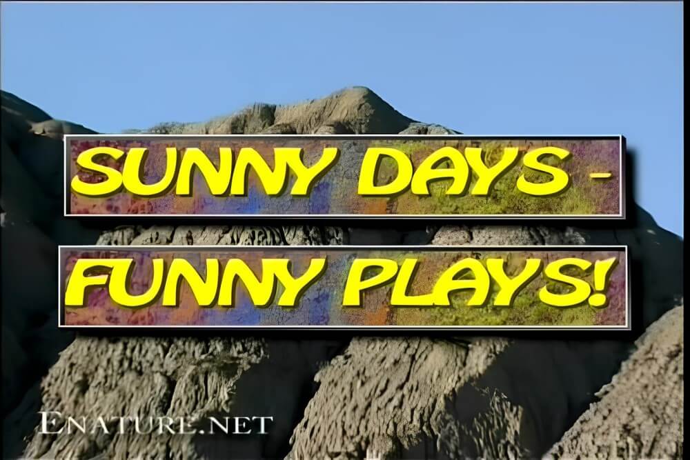 [OnnDL] Enature - Sunny Days – Funny Plays