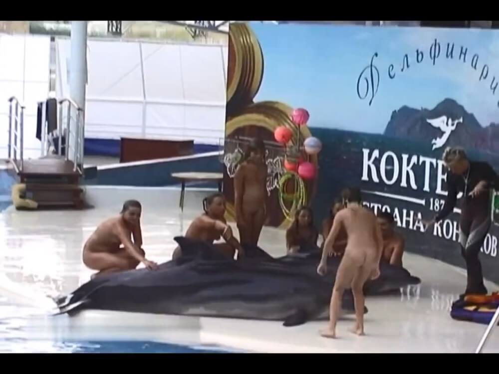 [OnnDL] Relaxing at the dolphinarium